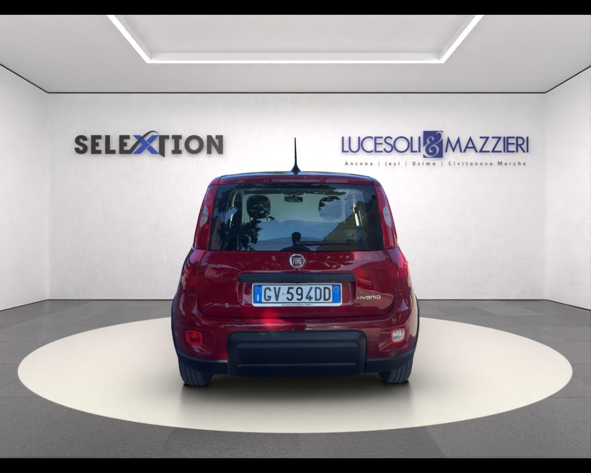 Fiat Fiat Panda usata 13