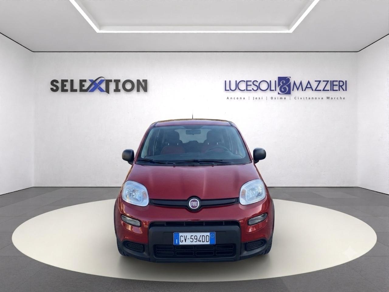 Fiat Fiat Panda usata 14