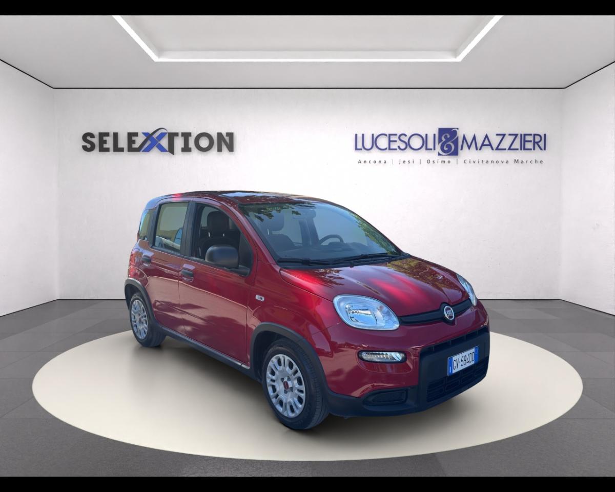 Fiat Fiat Panda usata 15