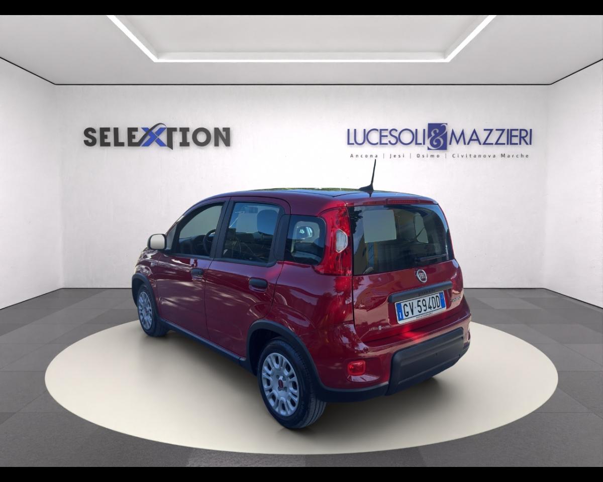 Fiat Fiat Panda usata 16