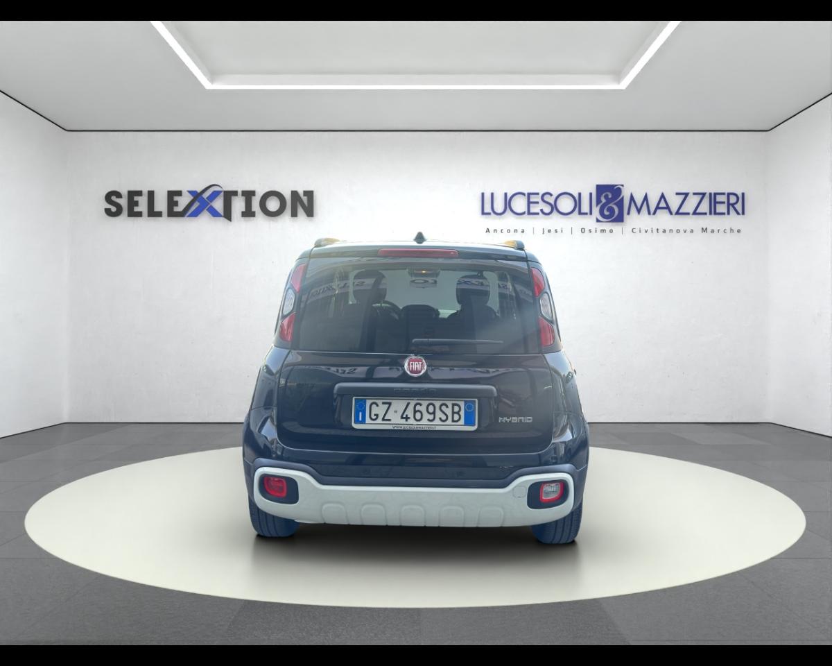 Fiat Fiat Panda usata 12