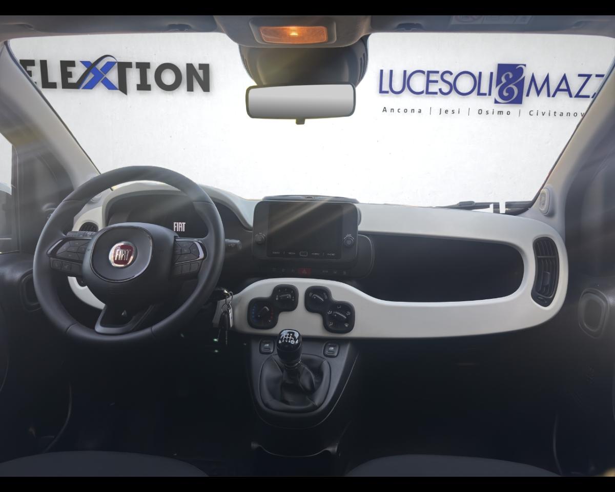 Fiat Fiat Panda usata 17