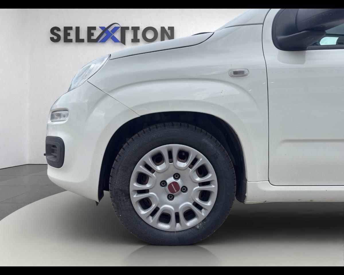 Fiat Fiat Panda usata 3