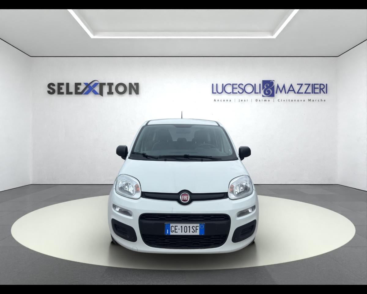 Fiat Fiat Panda usata 12