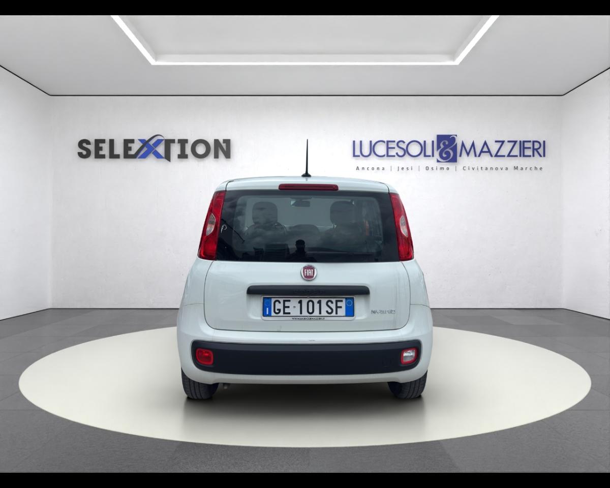 Fiat Fiat Panda usata 13