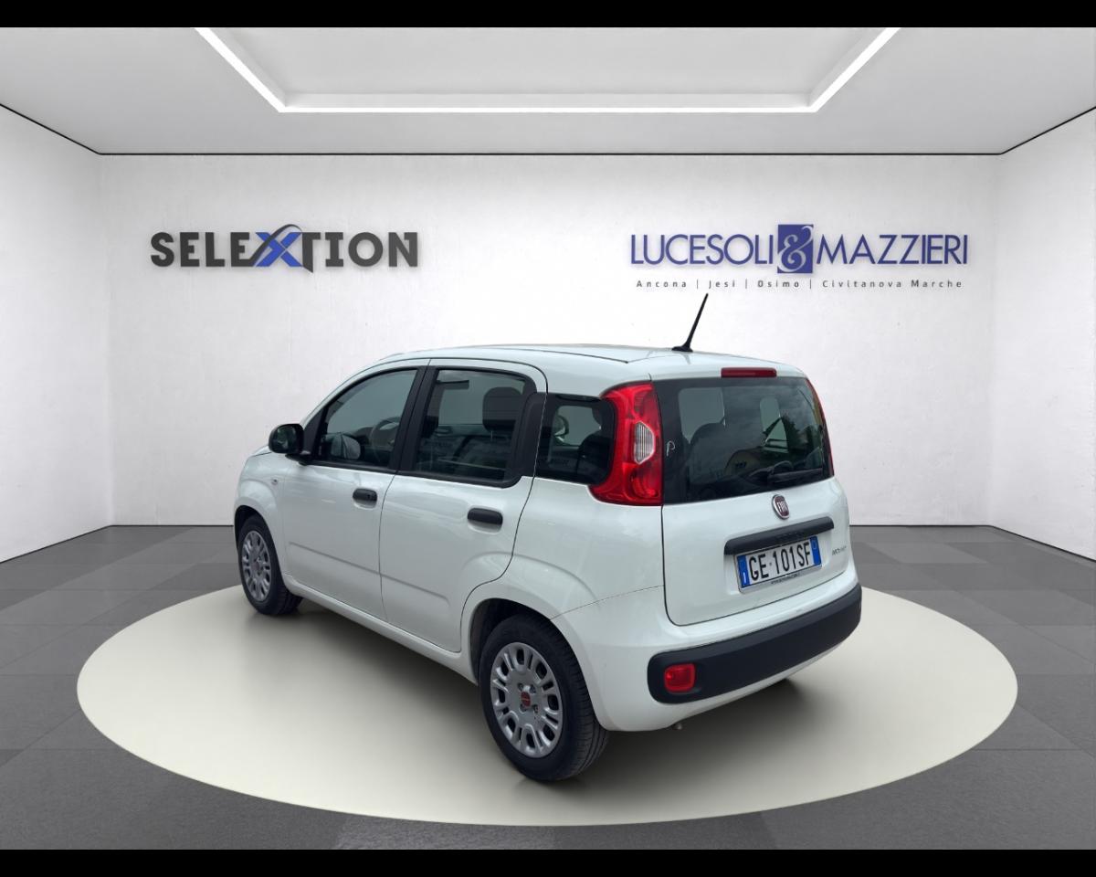 Fiat Fiat Panda usata 14