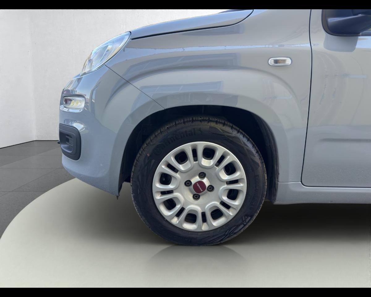 Fiat Fiat Panda usata 6
