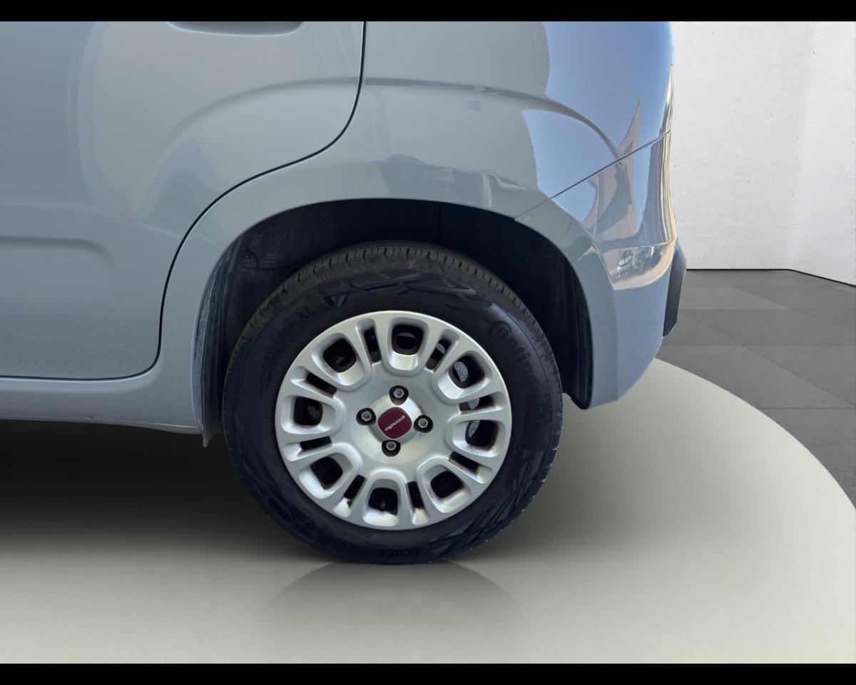 Fiat Fiat Panda usata 10