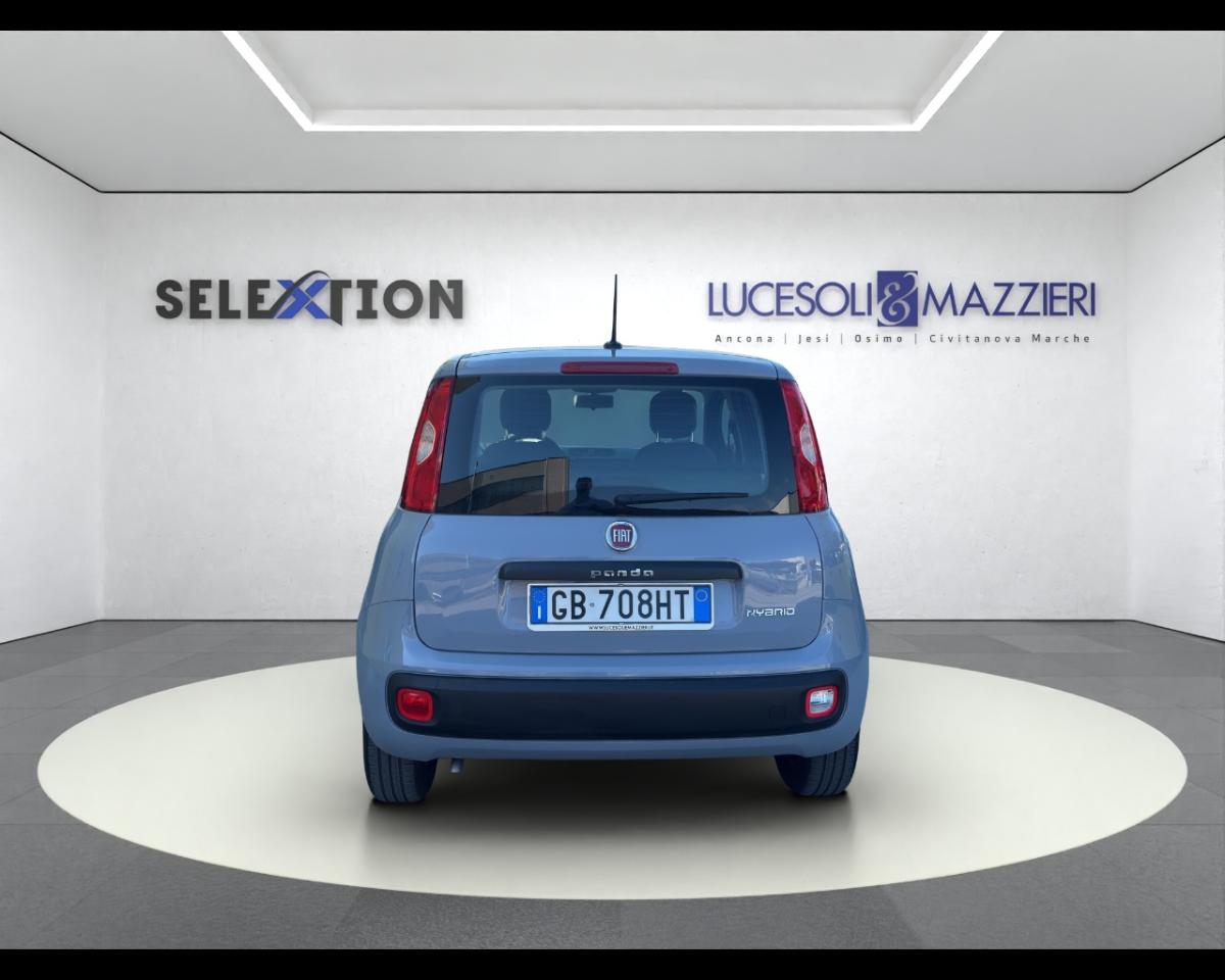 Fiat Fiat Panda usata 12