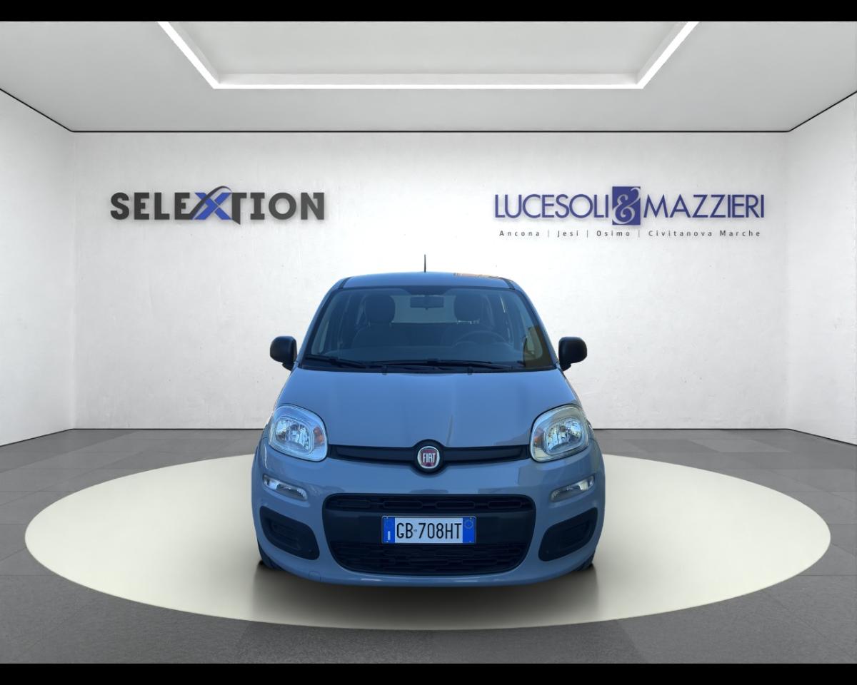 Fiat Fiat Panda usata 13