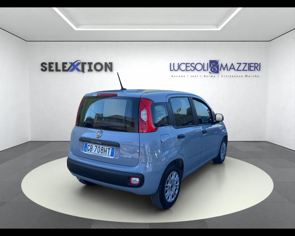 Fiat Fiat Panda usata 16