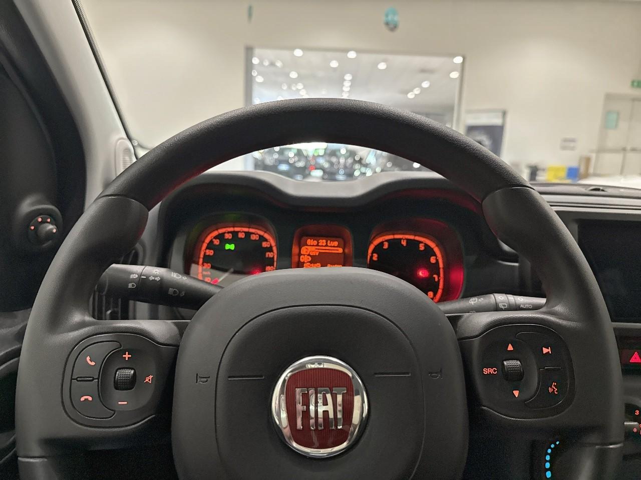Fiat Fiat Panda usata 5