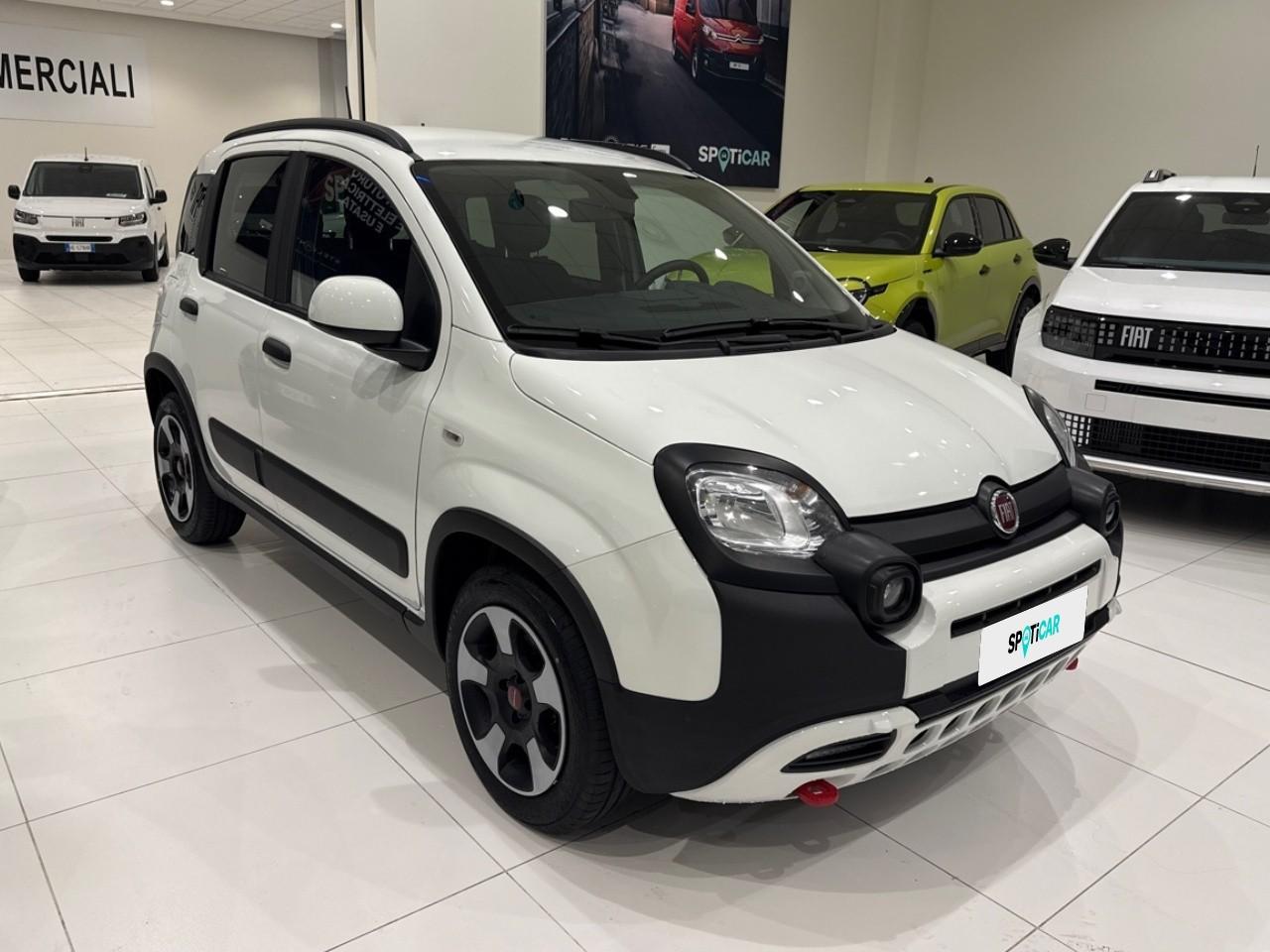 Fiat Fiat Panda usata 14
