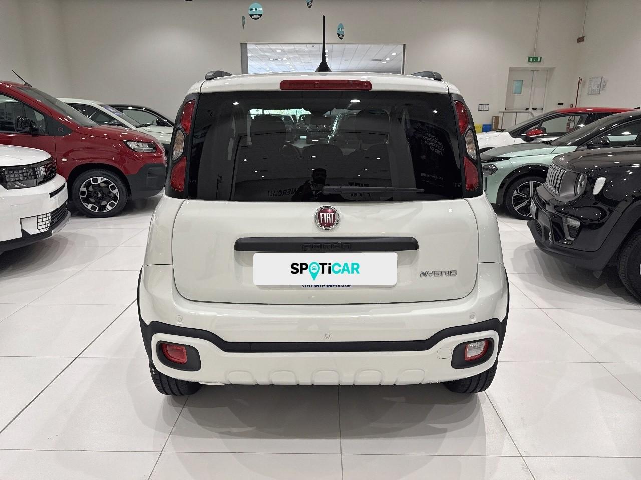 Fiat Fiat Panda usata 16