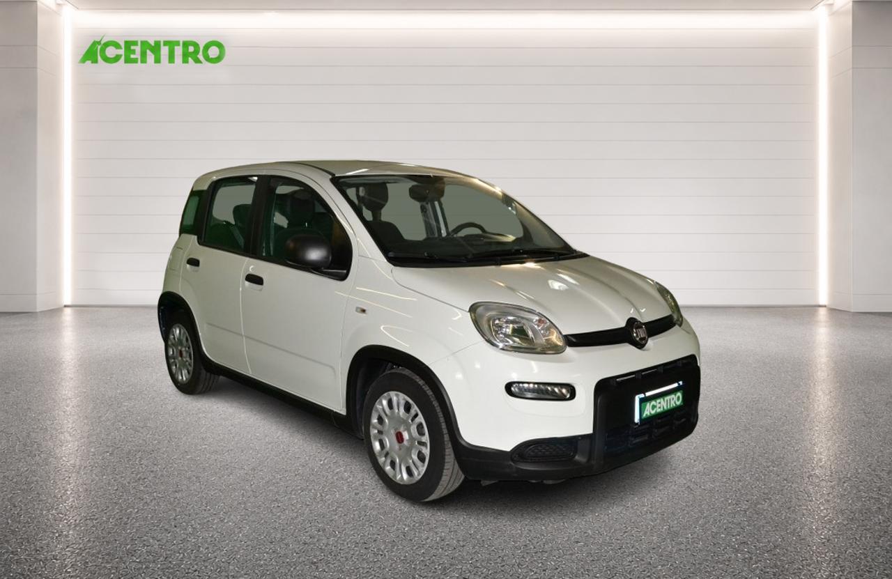Fiat Fiat Panda usata 13