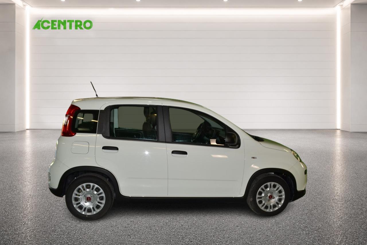 Fiat Fiat Panda usata 18