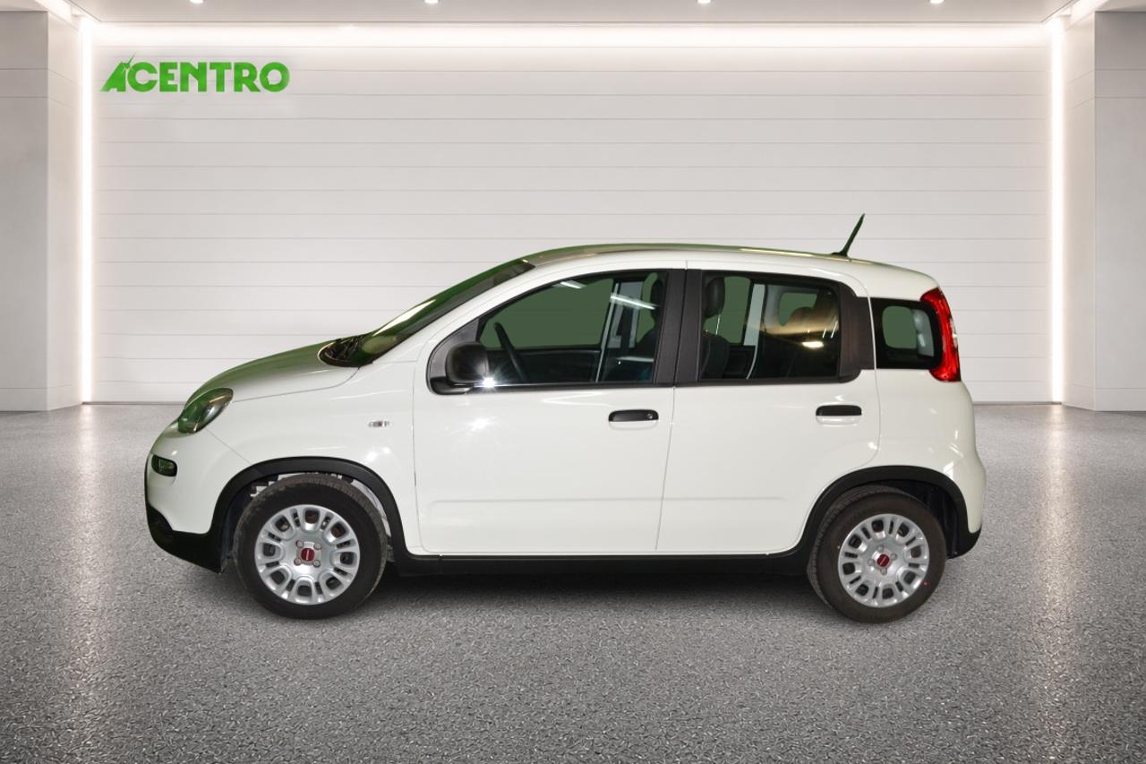 Fiat Fiat Panda usata 17