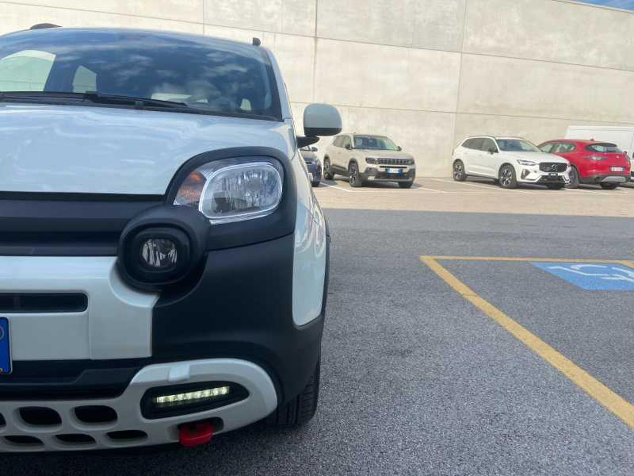 Fiat Fiat Panda usata 12