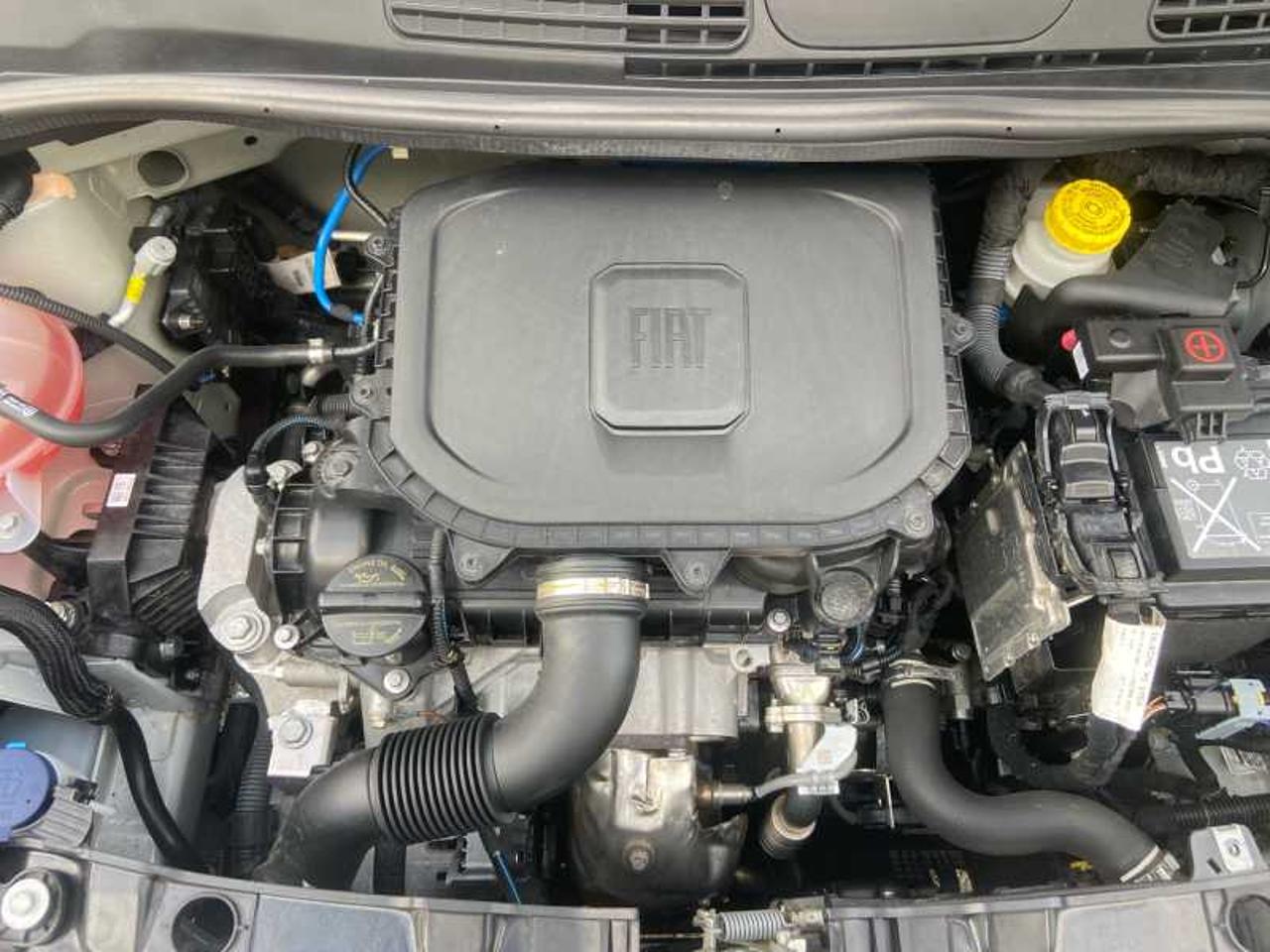 Fiat Fiat Panda usata 13