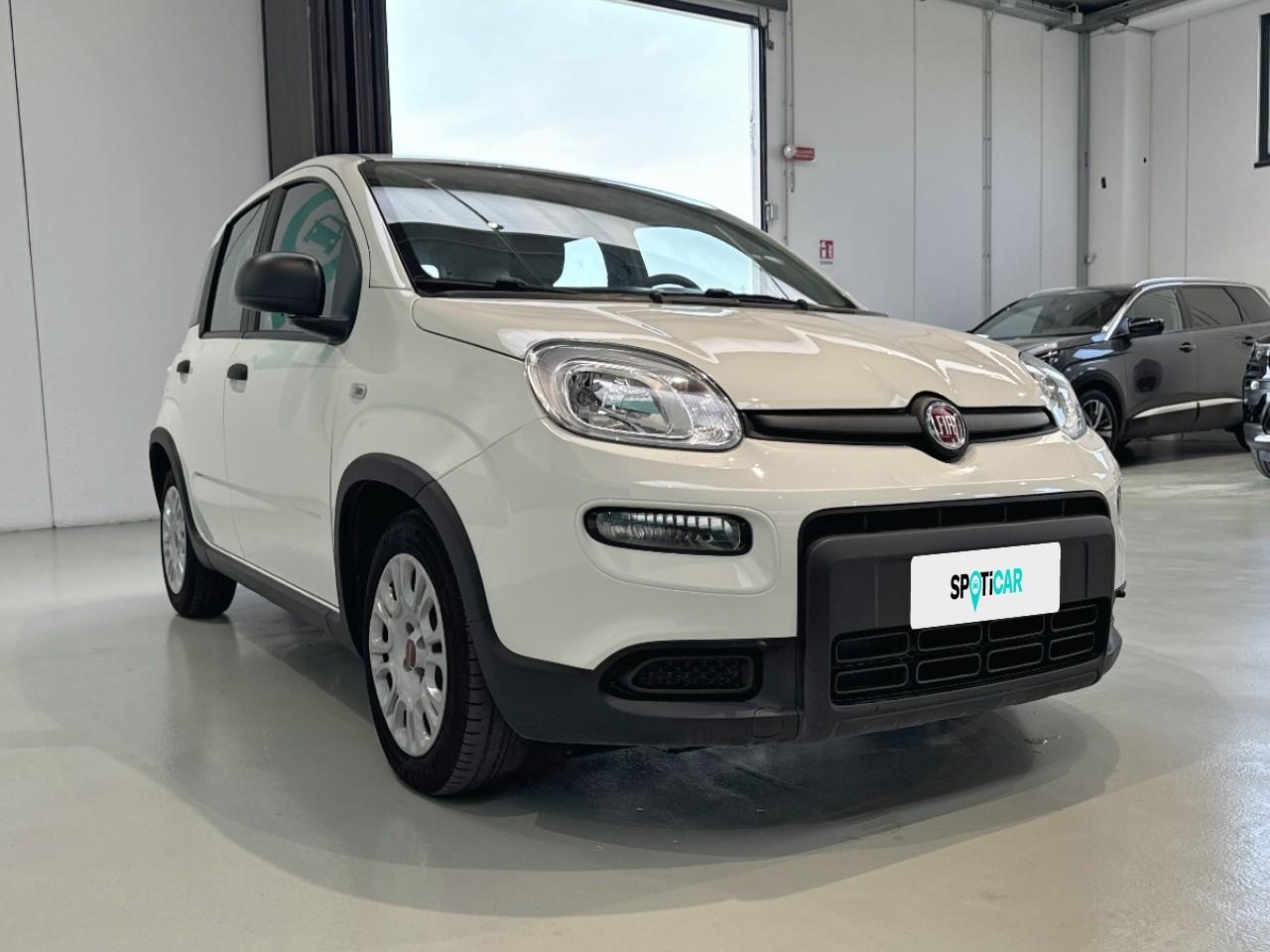 Fiat Fiat Panda usata 13
