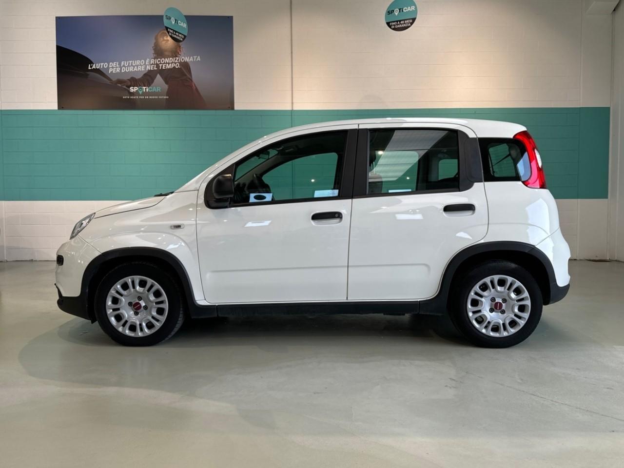 Fiat Fiat Panda usata 14