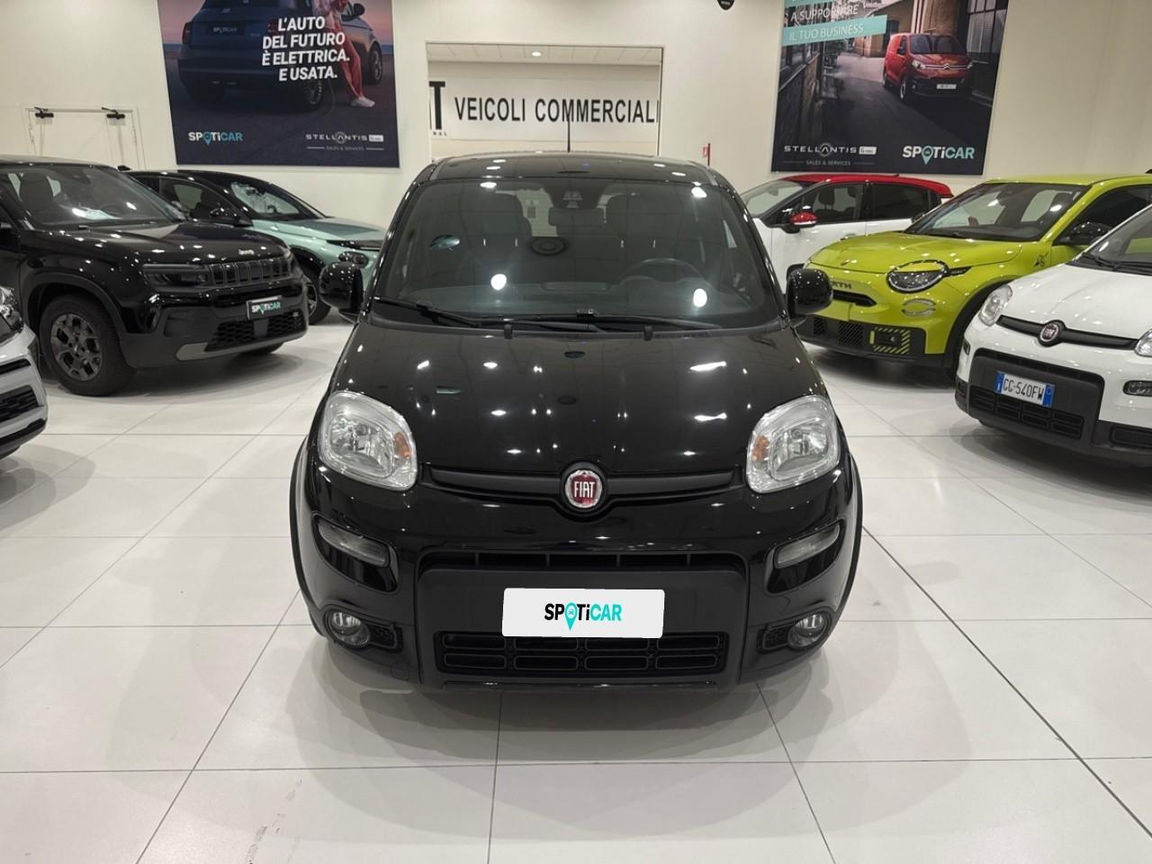 Fiat Fiat Panda usata 8