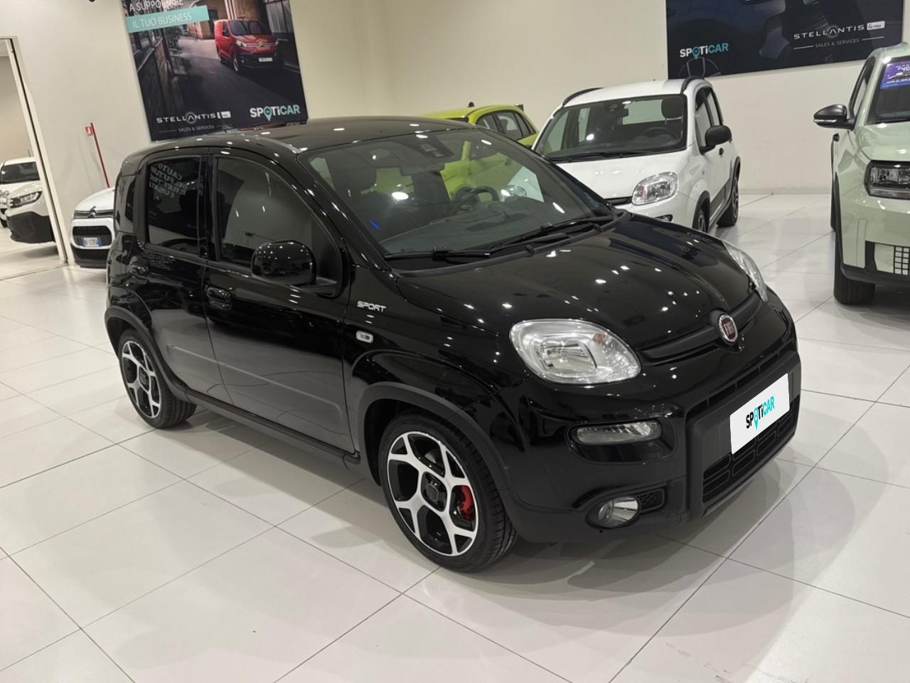 Fiat Fiat Panda usata 9