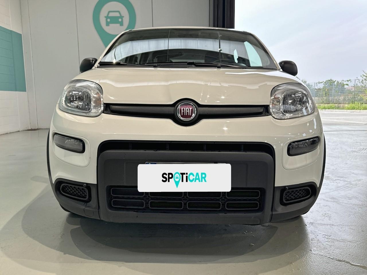 Fiat Fiat Panda usata 11
