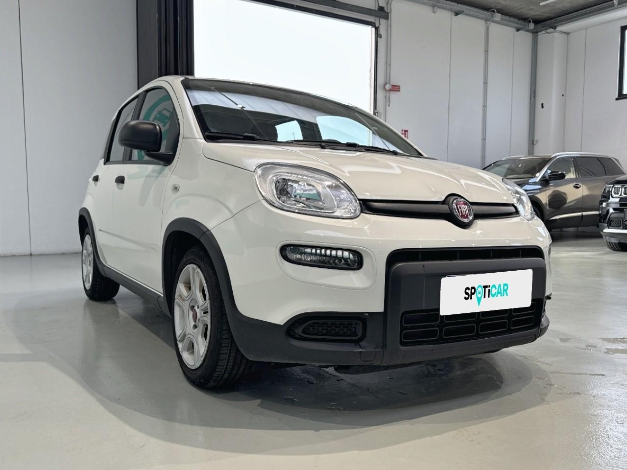 Fiat Fiat Panda usata 13