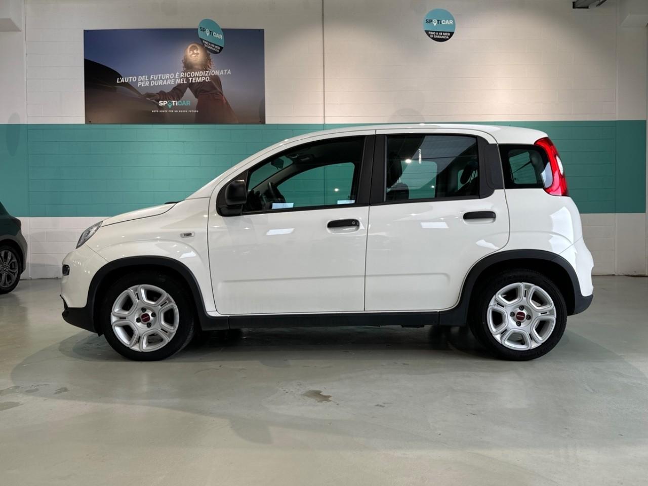 Fiat Fiat Panda usata 14