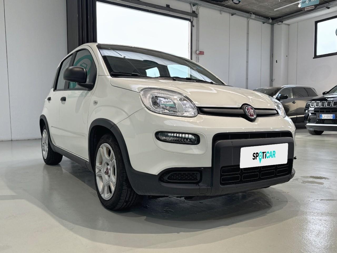 Fiat Fiat Panda usata 13