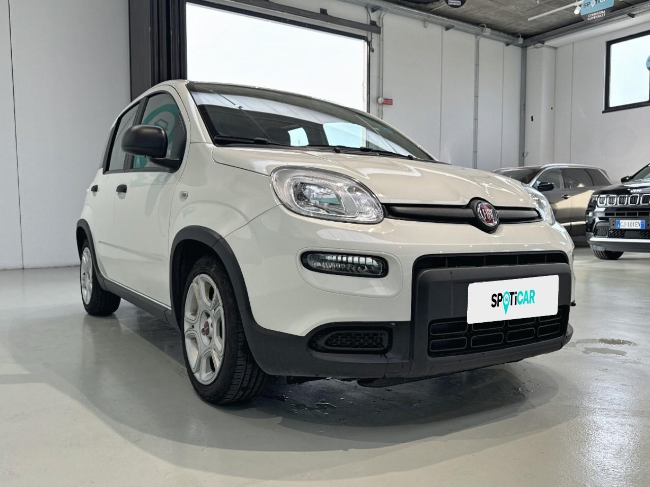 Fiat Fiat Panda usata 13