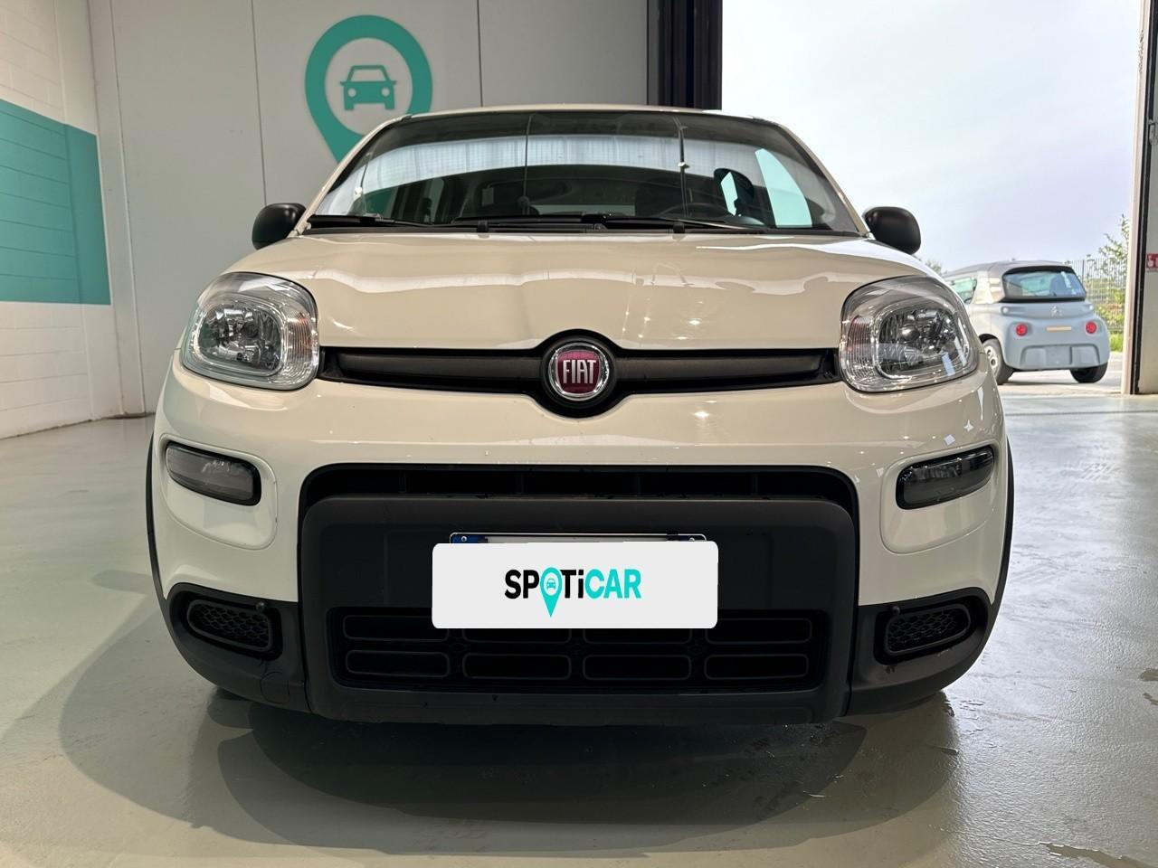 Fiat Fiat Panda usata 11