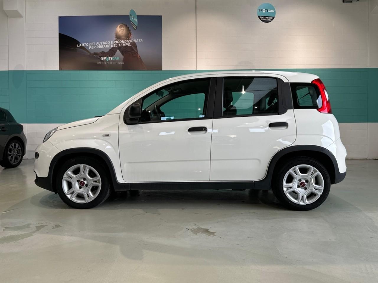 Fiat Fiat Panda usata 14