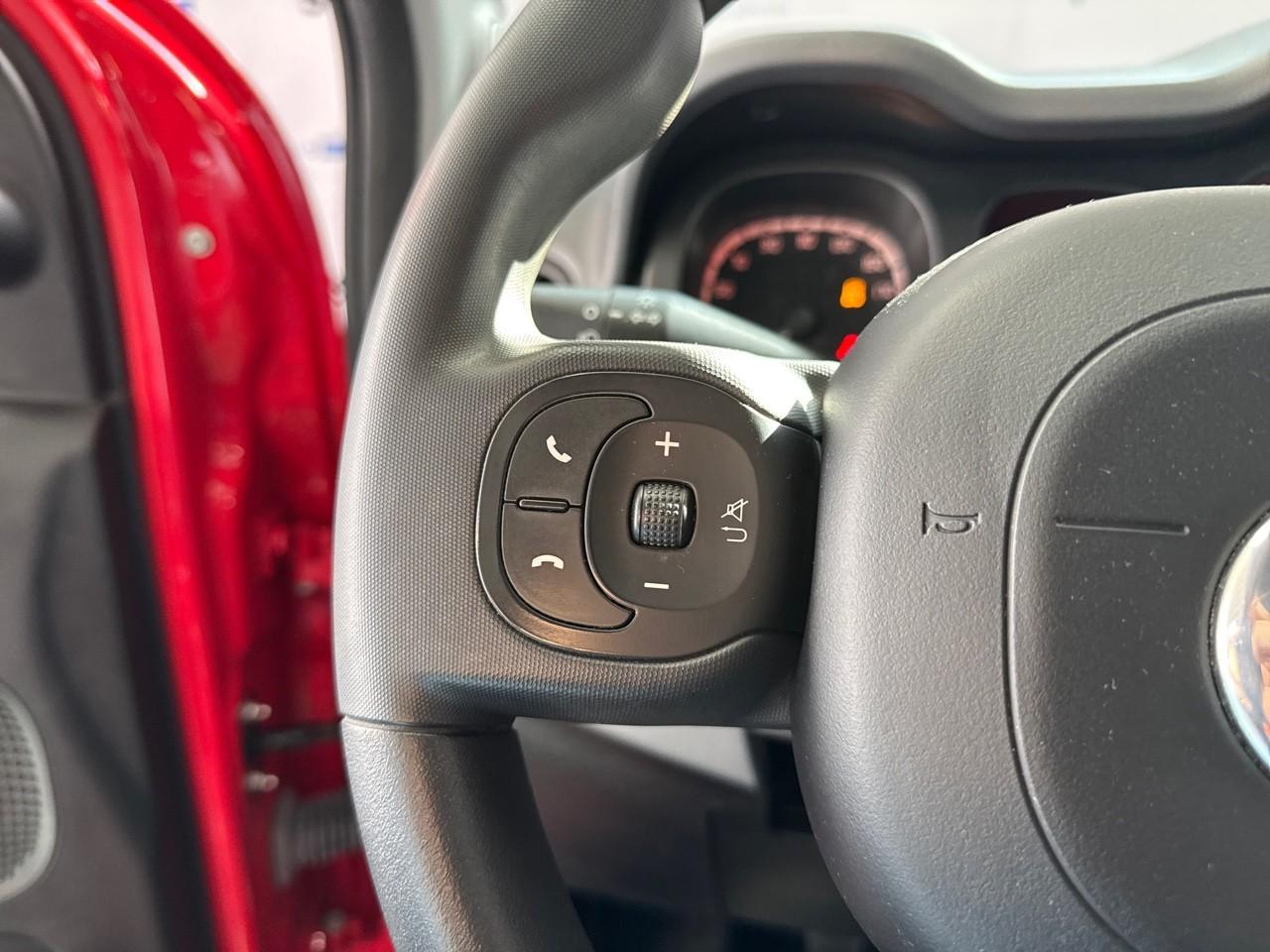 Fiat Fiat Panda usata 8
