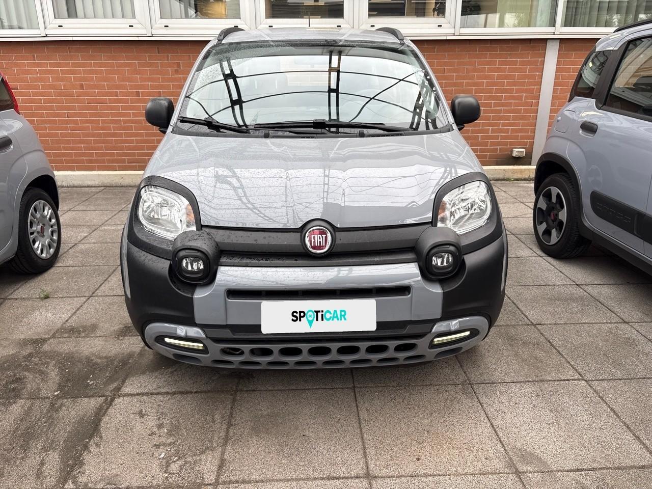Fiat Fiat Panda usata 11