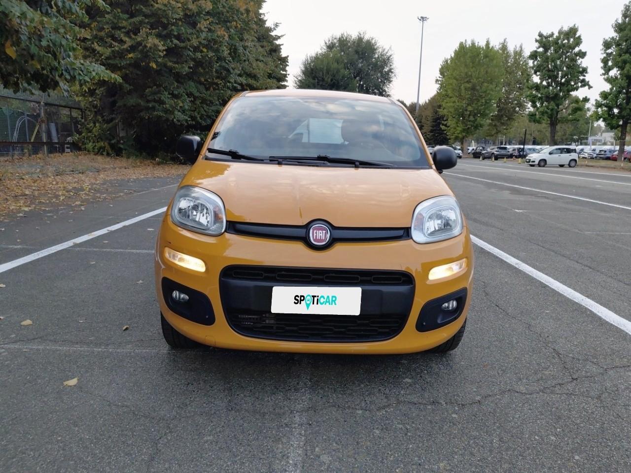 Fiat Fiat Panda usata 9