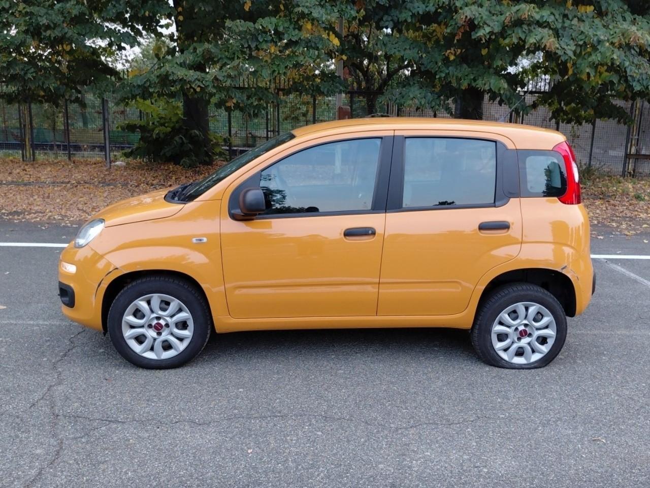 Fiat Fiat Panda usata 11