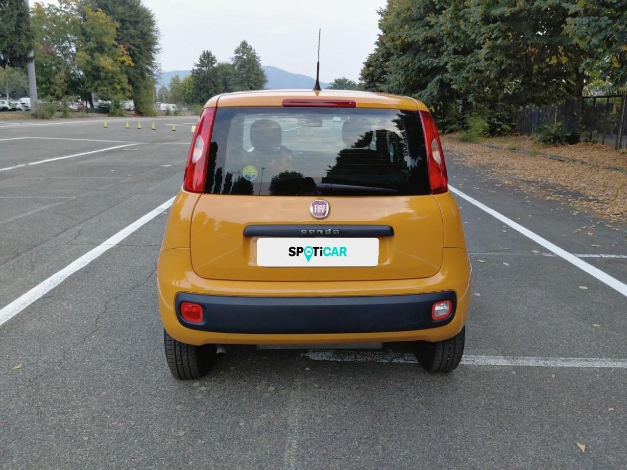Fiat Fiat Panda usata 12