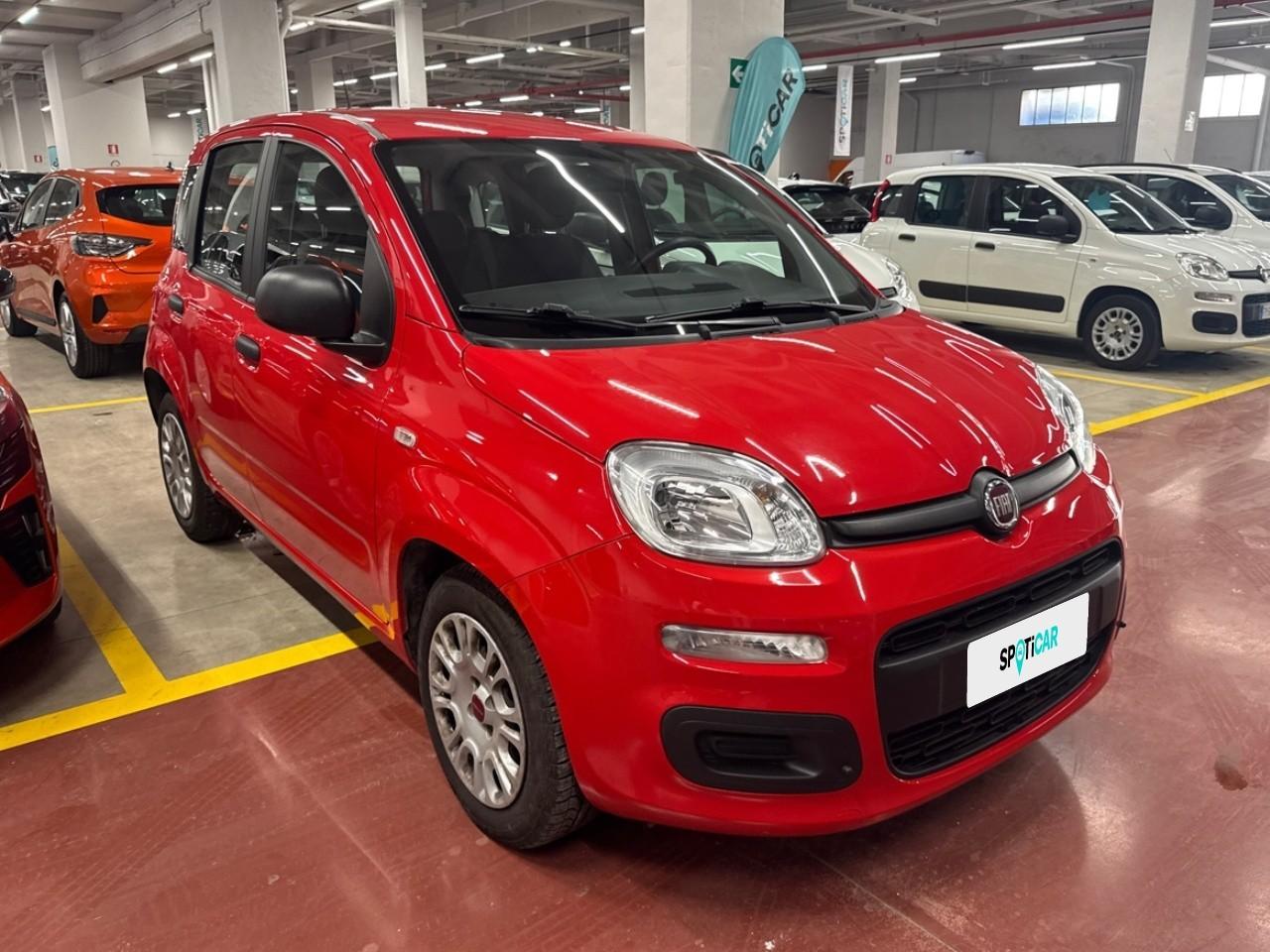 Fiat Fiat Panda usata 14