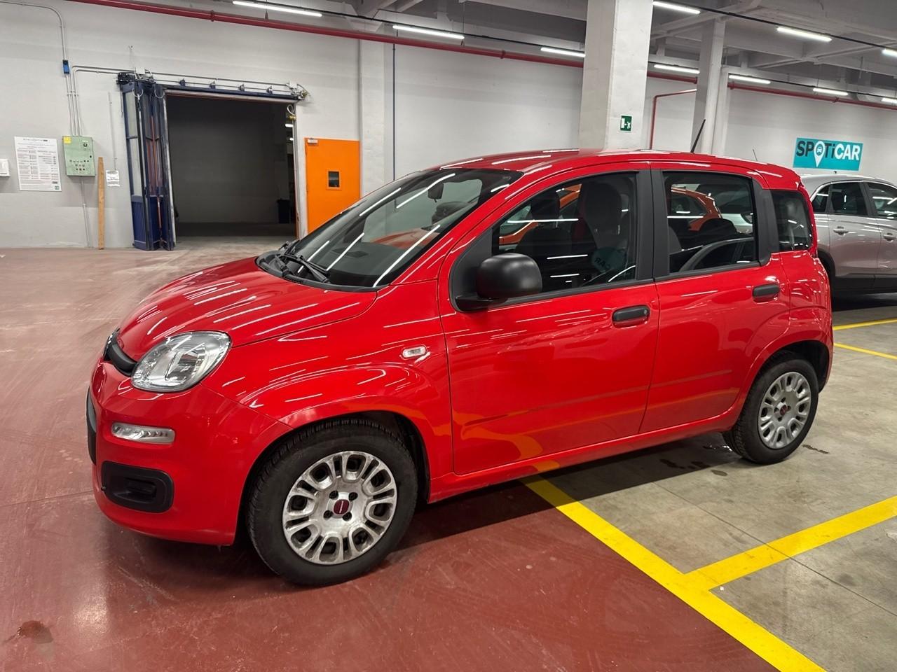 Fiat Fiat Panda usata 15
