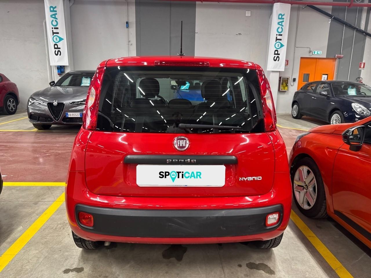 Fiat Fiat Panda usata 16