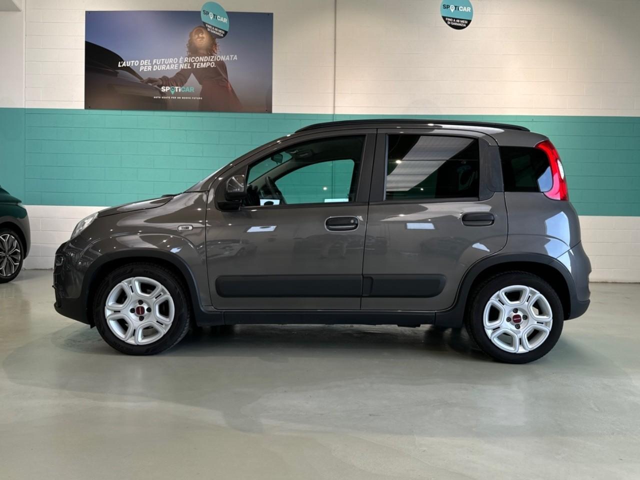 Fiat Fiat Panda usata 14