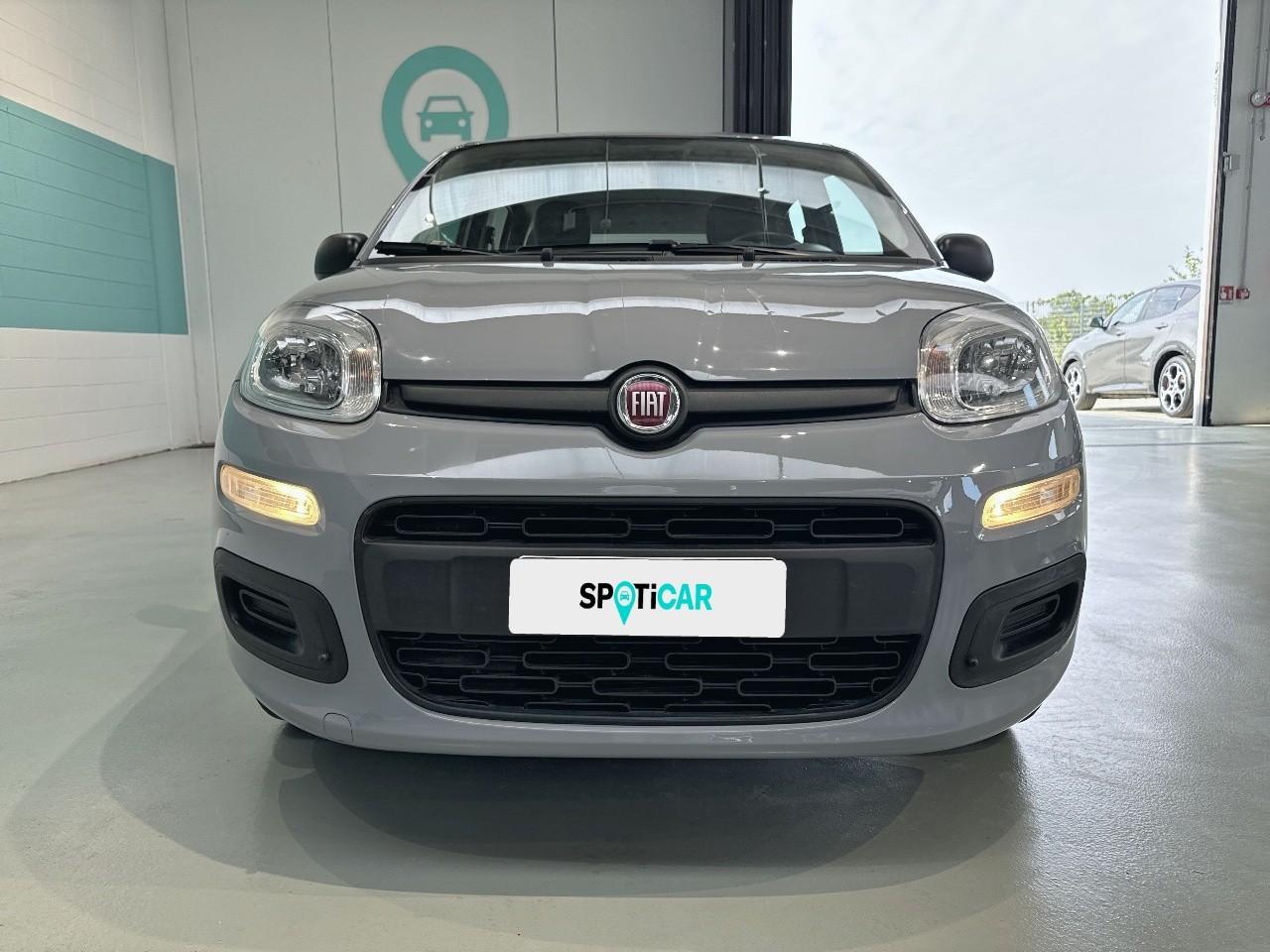Fiat Fiat Panda usata 11