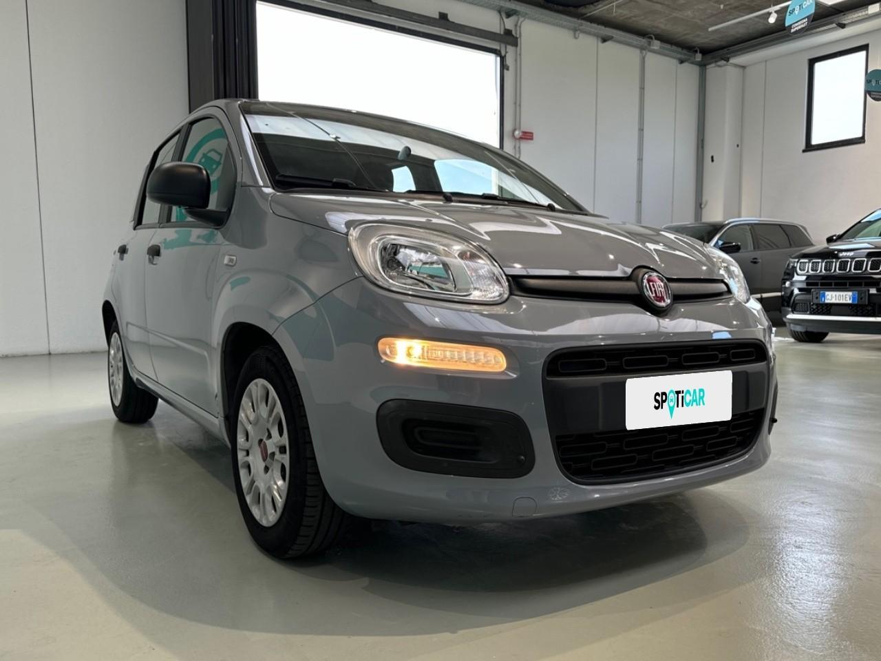 Fiat Fiat Panda usata 13