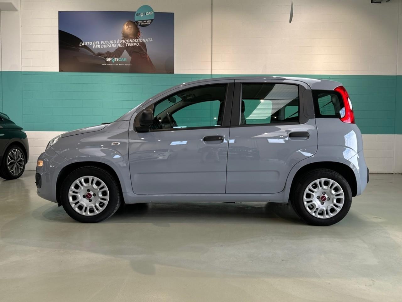 Fiat Fiat Panda usata 14