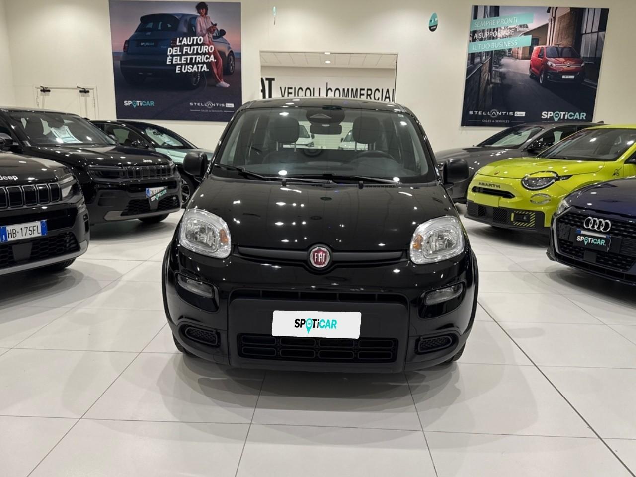 Fiat Fiat Panda usata 9