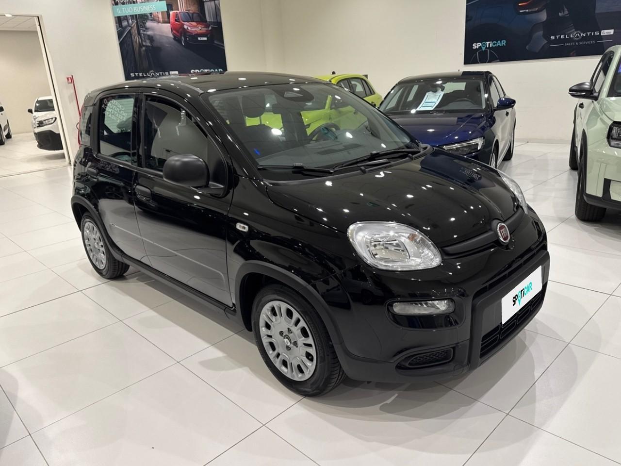 Fiat Fiat Panda usata 10