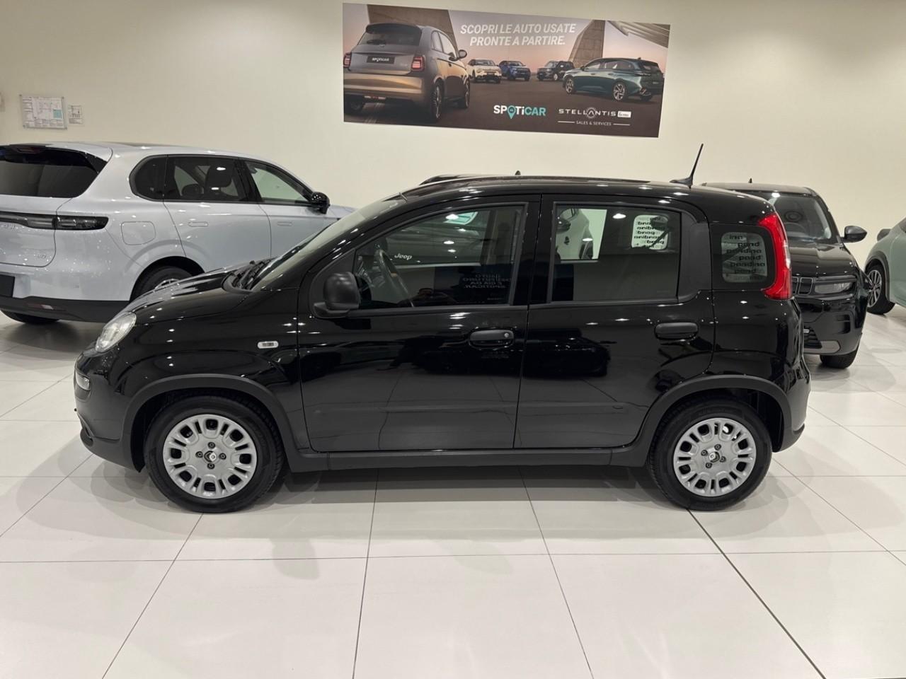 Fiat Fiat Panda usata 11