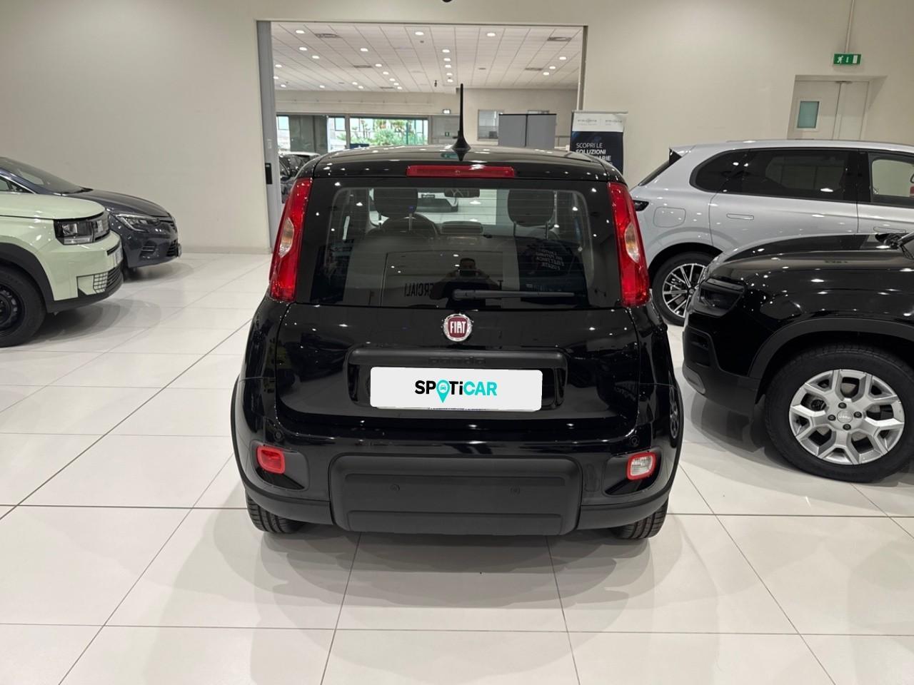 Fiat Fiat Panda usata 12